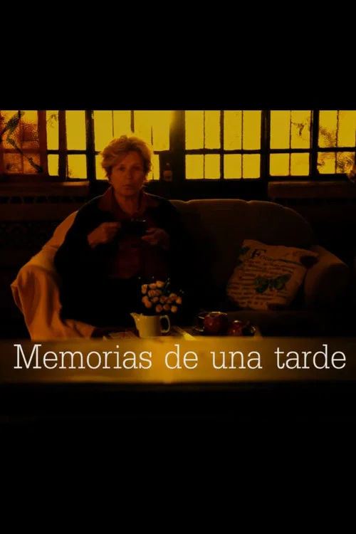 Memorias de una tarde постер