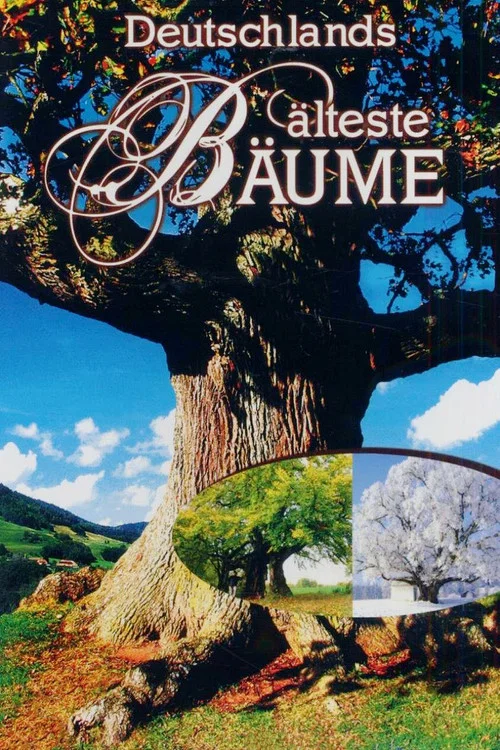 Deutschlands älteste Bäume постер