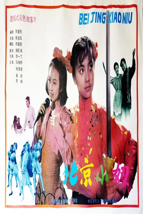 北京小妞 постер