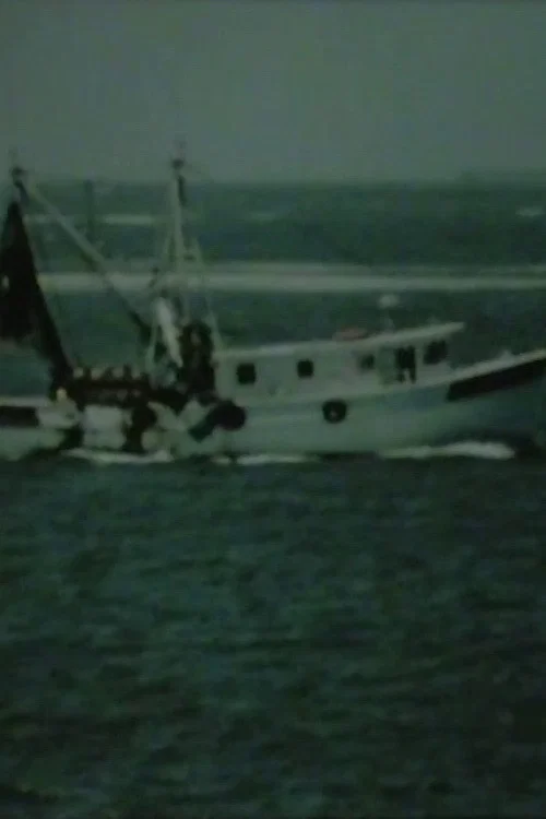 Shrimp Boat Log постер