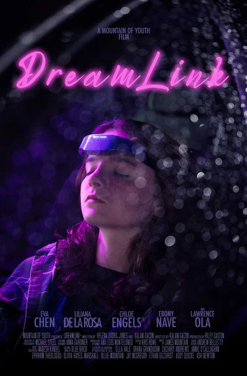 Dreamlink постер