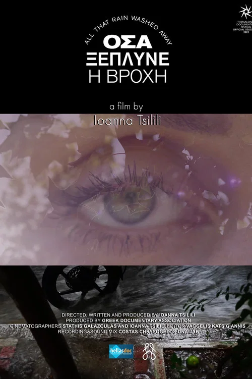 ALL THAT RAIN WASHED AWAY постер