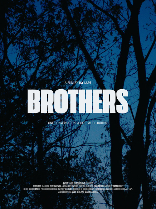 Brothers постер