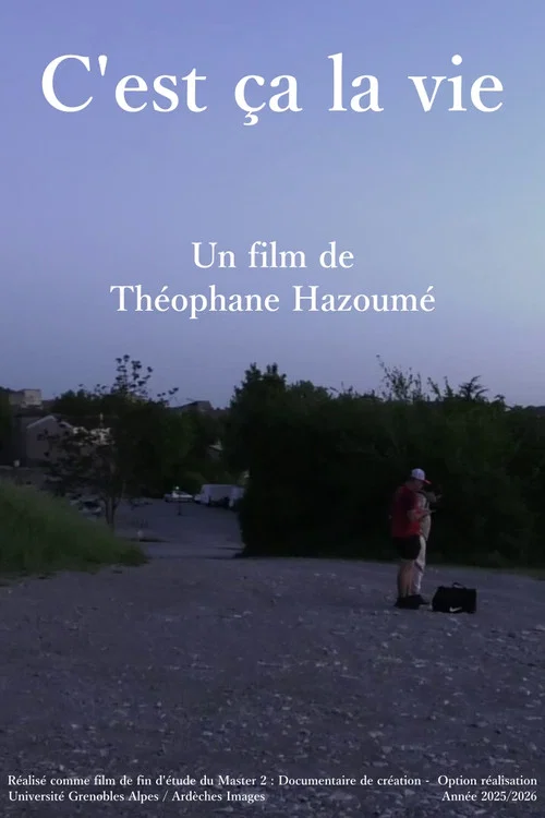 C'est ça la vie постер