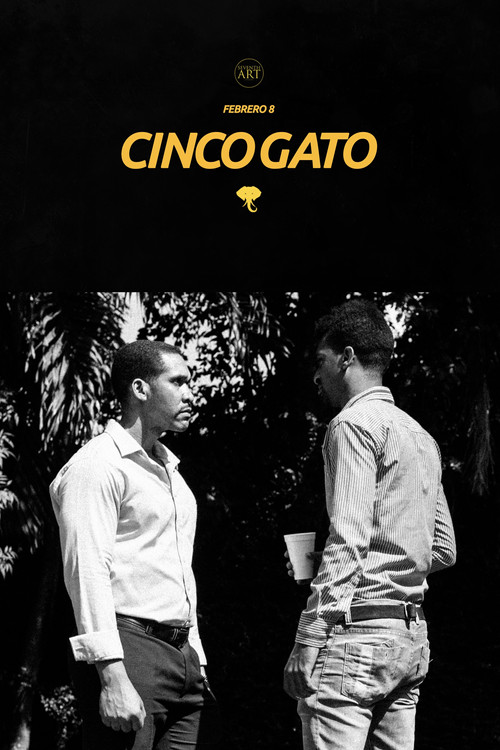 Cinco Gato постер