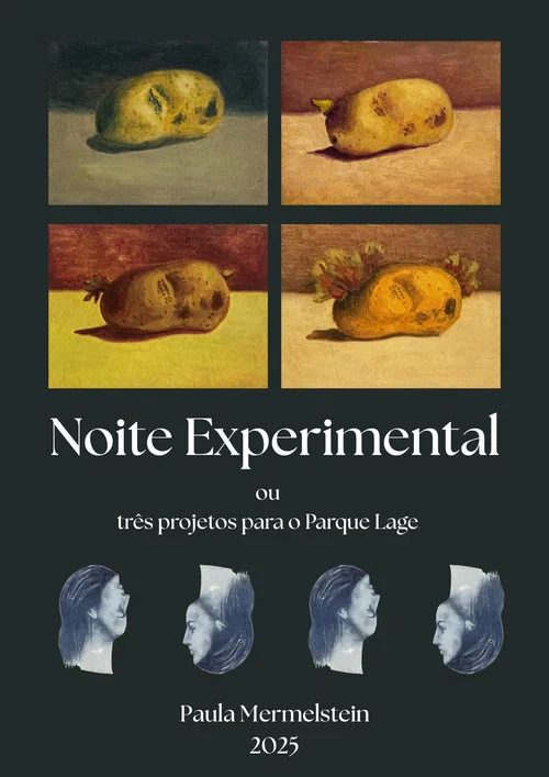 Noite Experimental постер