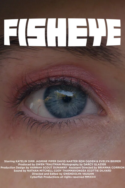 Fisheye постер