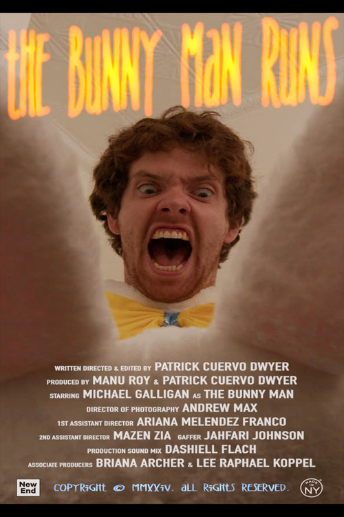 The Bunny Man Runs постер