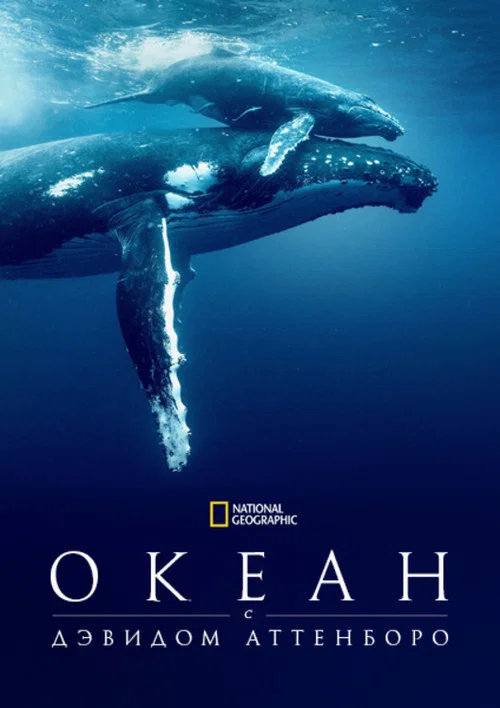 Океан с Дэвидом Аттенборо постер