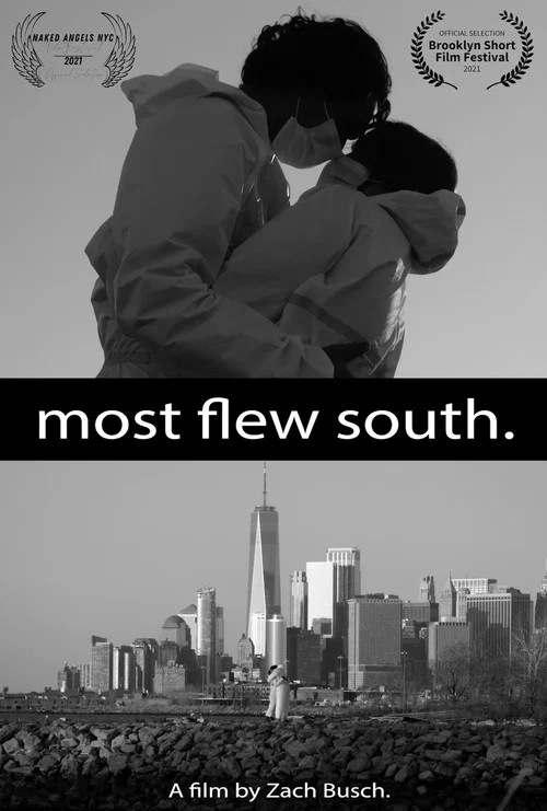 Most Flew South постер