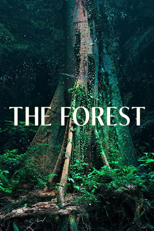 The Forest постер