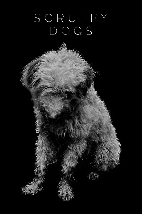 Scruffy Dogs постер