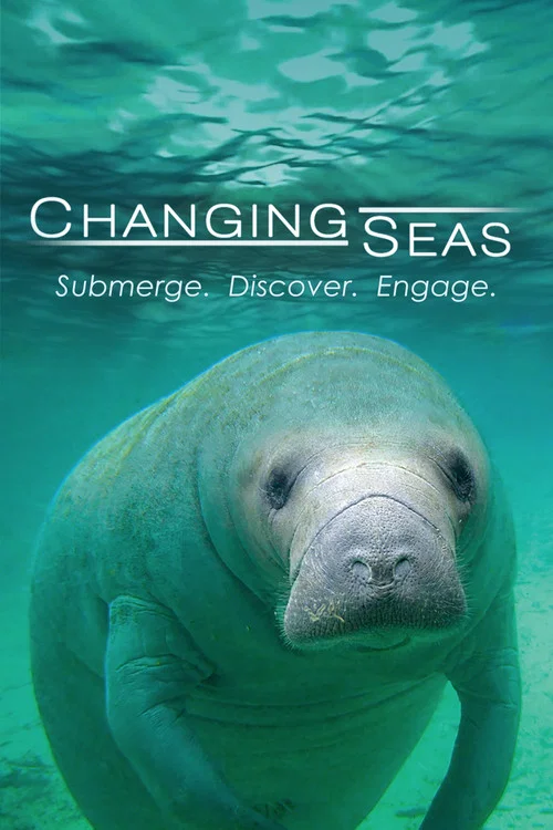 Changing Seas постер