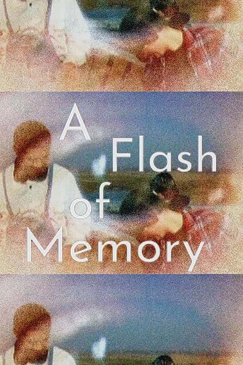 A Flash of Memory постер