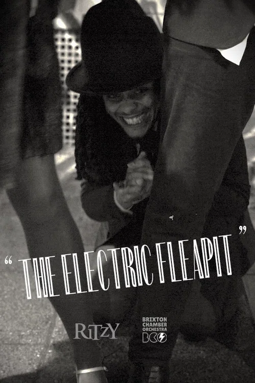 The Electric Fleapit постер