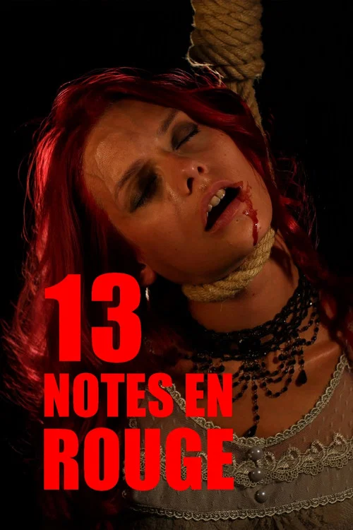13 notes en rouge постер