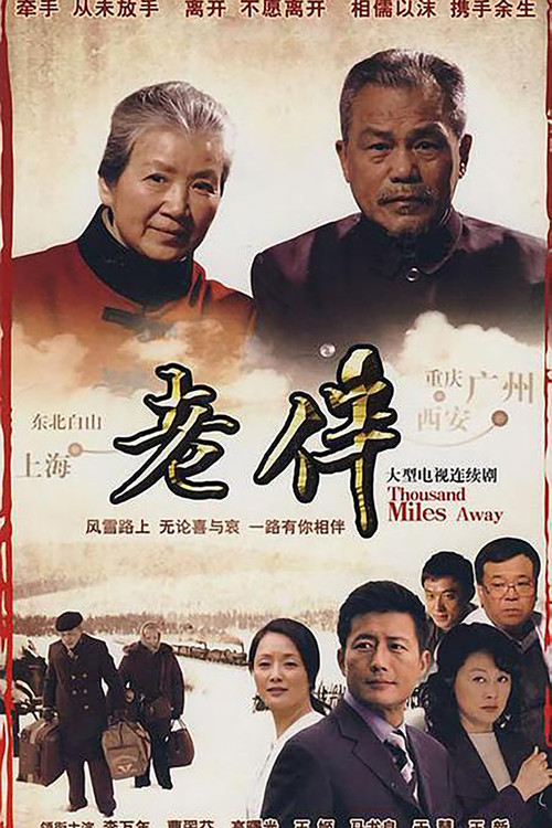 老伴 постер