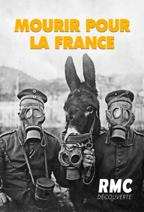 Mourir pour la France постер