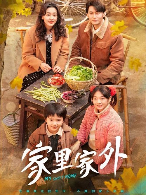 家里家外 постер