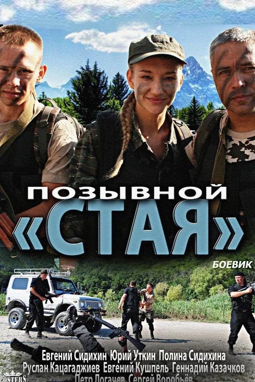 Позывной «Стая» постер