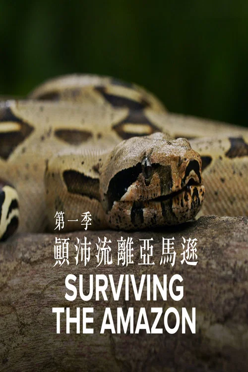Surviving the Amazon постер