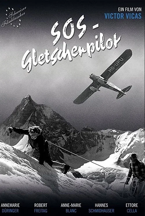SOS - Gletscherpilot постер