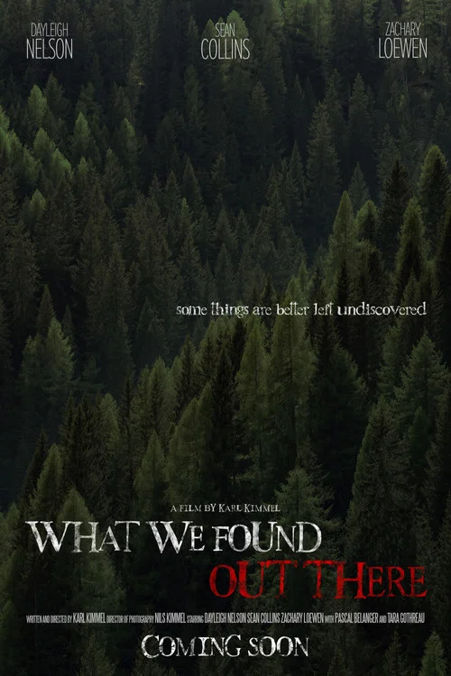 What We Found Out There постер