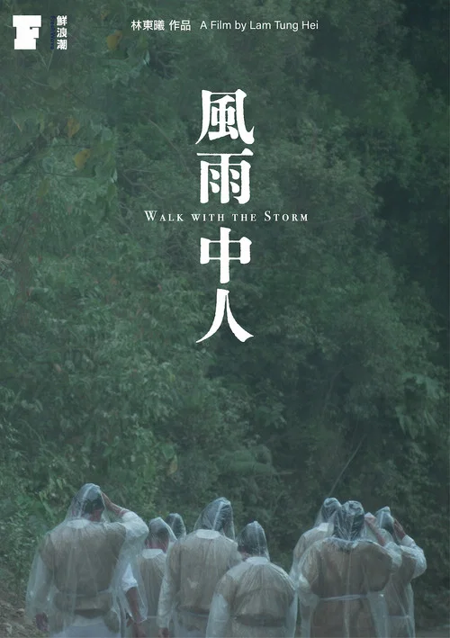 風雨中人 постер