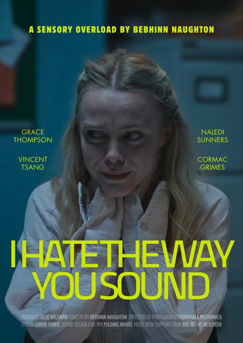I Hate the Way You Sound постер