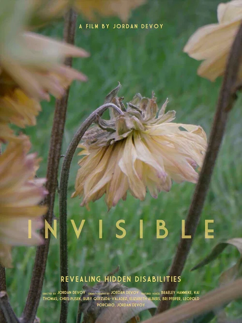 Invisible - Revealing Hidden Disabilities постер