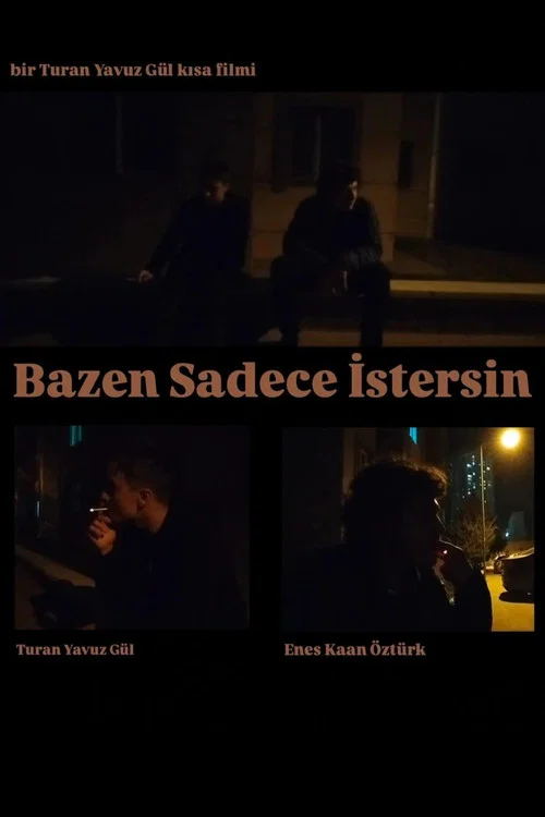 Bazen Sadece İstersin постер