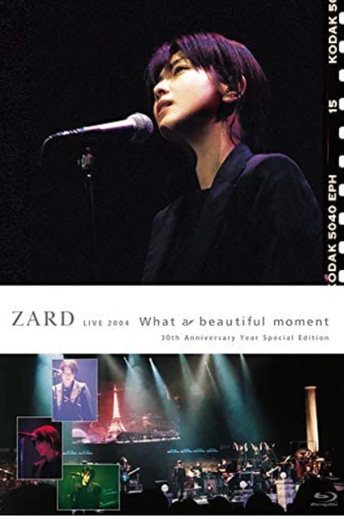 ZARD LIVE 2004“What a beautiful moment"[30th Anniversary Year Special Edition] постер