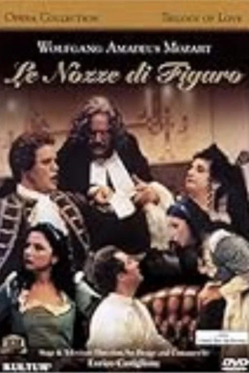 Le nozze di Figaro постер