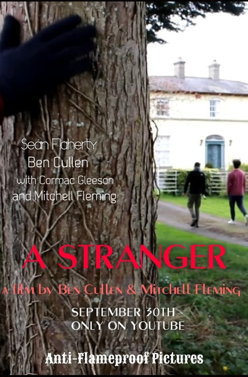 A Stranger постер