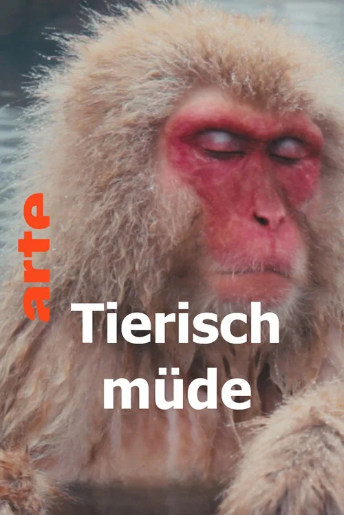 Tierisch müde - Das Rätsel Schlaf постер